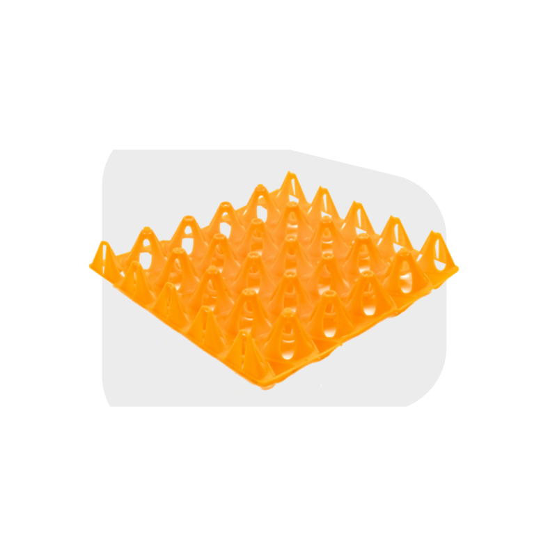 Alv_oles 20 oeufs de dinde