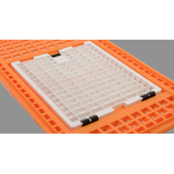 Porte sup. Abattable 52x42 pour cage piedmont avec ressort