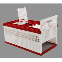 Cage a pigeons type "C"