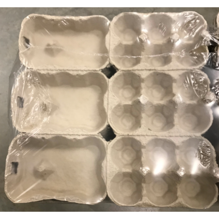 BOITE DE 6 OEUFS DE POULES EN CELLULOSE DE 3X6 OEUFS (CONDITIONNEMENT PAR 462)