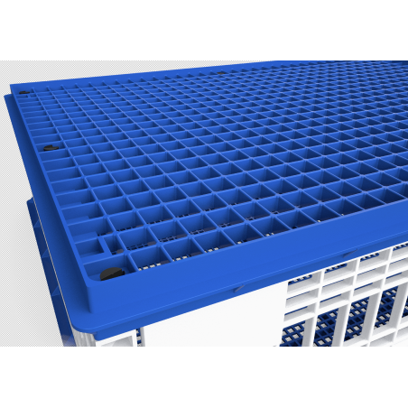 DESSUS DE CAGE