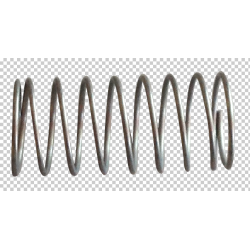 Ressort de soupape (de valve)