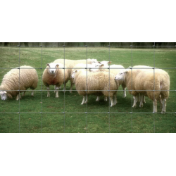 GRILLAGE NOUÉ (PÂTURAGE) 120/10/15 HT 1,20M (50M)