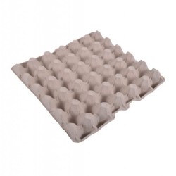 ALVÉOLES CELLULOSE...