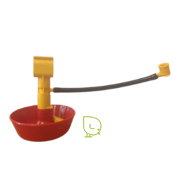 Mini-Cup de demarrage